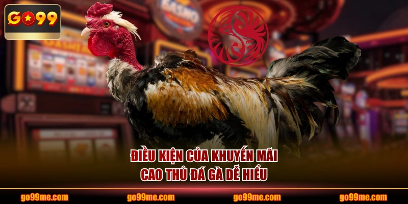 Điều kiện của khuyến mãi cao thủ đá gà dễ hiểu